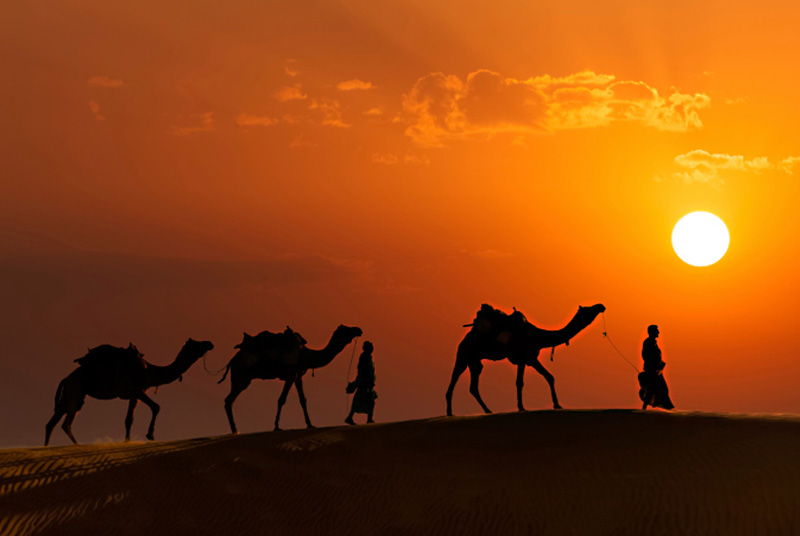 Vibrant Rajasthan Tour Package 6N/7D | SVR Tours